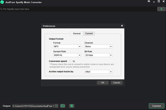 define spotify output format and parameters