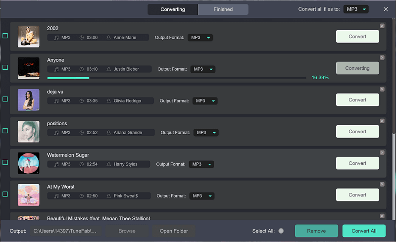 Batch Converting Spotify Music